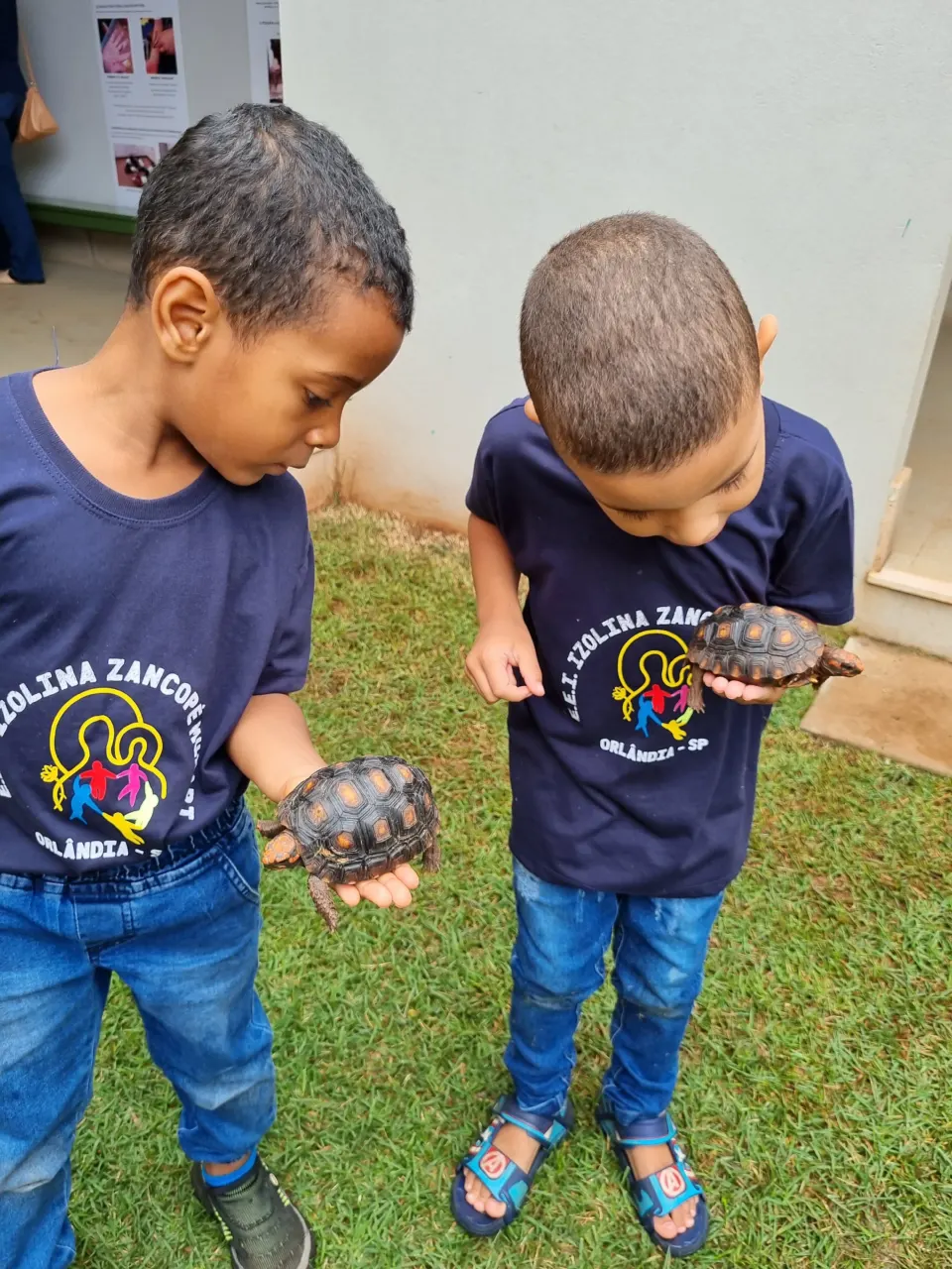 Dois meninos no gramado segurando um jabuti
