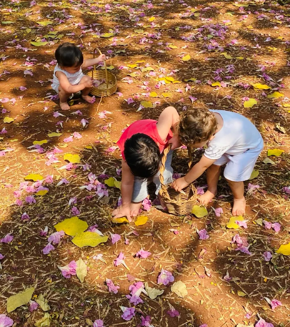Crianças brincando em um chão coberto de flores caídas
