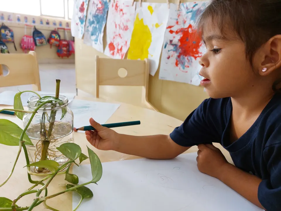 Criança desenhando com lápis enquanto observa um ramo de planta em um vaso de vidro